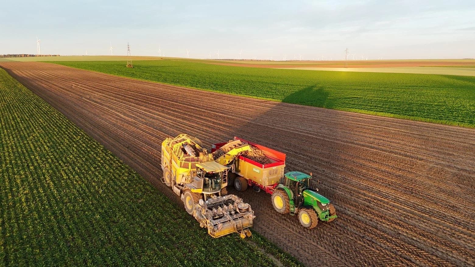 Des machines agricoles à la récolte dans un paysage de champs.